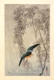 Ohara Koson, Eisvogel, um 1920, Farbholzschnitt, colour woodcut